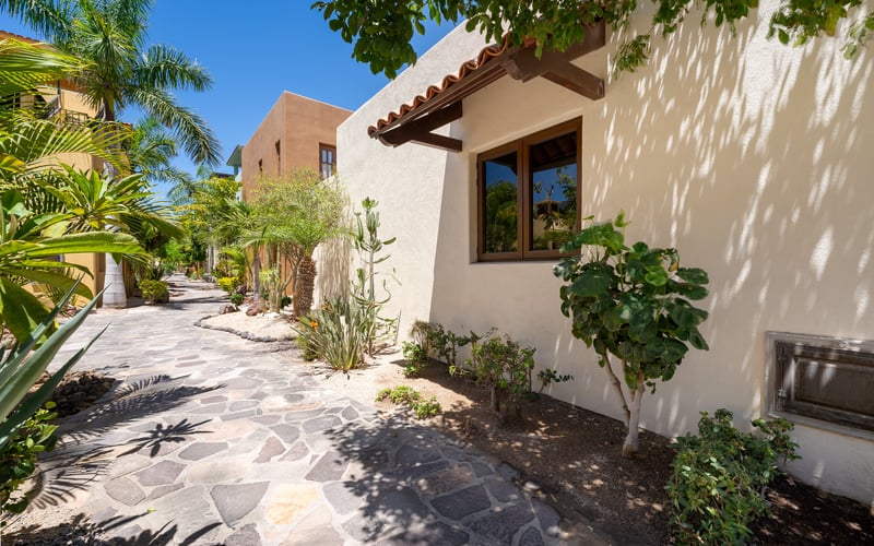 Stone walkway lined with desert plants between villas