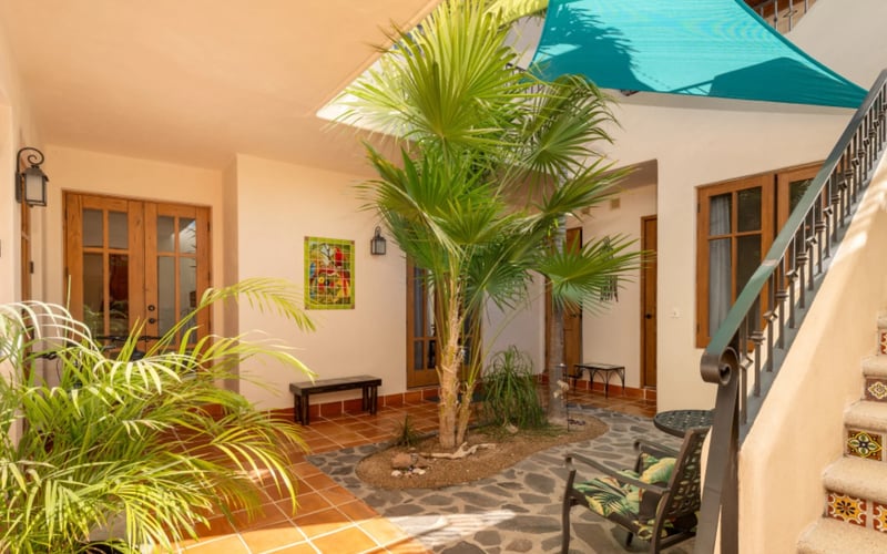 AV65 interior atrium with palm tree and tiled floors